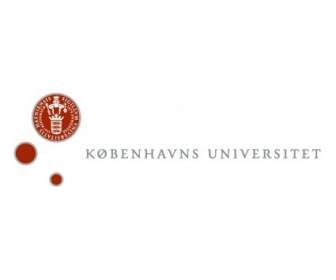 Kobenhavns 대학교