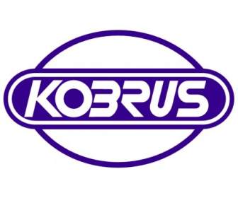 Kobrus