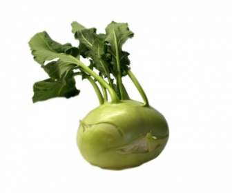 コールラビ野菜緑