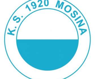 Mosina KS
