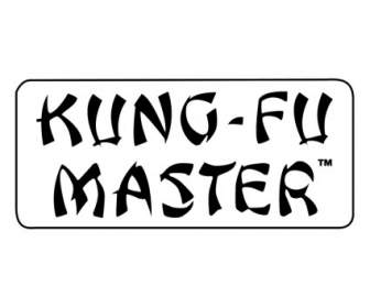 Maestro De Kung Fu