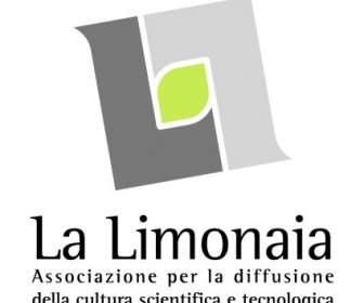 ลา Limonaia