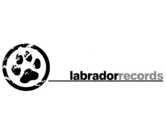 Registros De Labrador