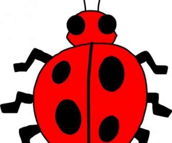 Coccinelle Lady Bug Clipart