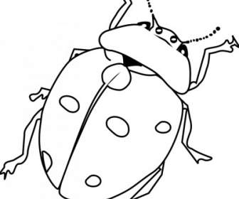 Ladybug Line Art