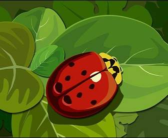 Ladybugs On The Green Leaf