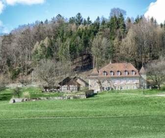 Foresta Di Lagendorf Svizzera