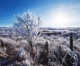 Landscape With Hoar Frost