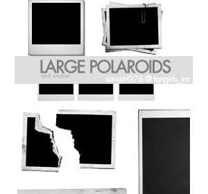 Grandes Escovas De Polaroid