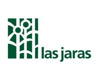 라스 Jaras