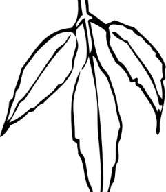 잎 클립 아트