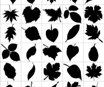 Leaf Silhouettes Free Vector Graphic