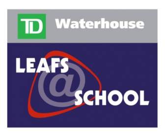Leafs Schule