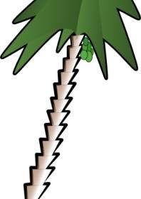 Penchement Palm Tree Clipart