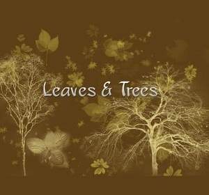 나뭇잎과 나무