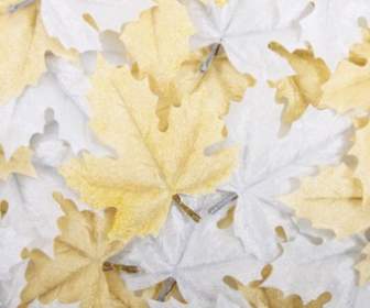 Blätter Dekoration Hintergrund