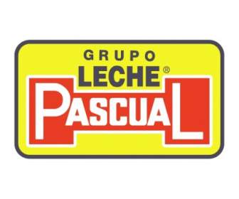 Leche Паскуаль