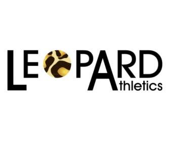 Athlétisme Léopard
