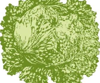 Lettuce Clip Art