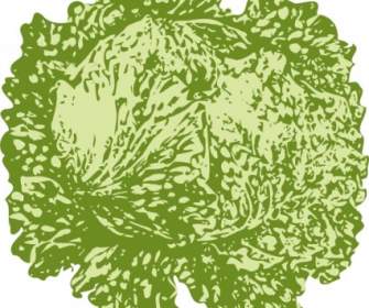 Lettuce Clip Art