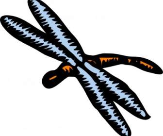 libellula картинки