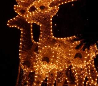 Lichterkette クリスマスのトナカイ
