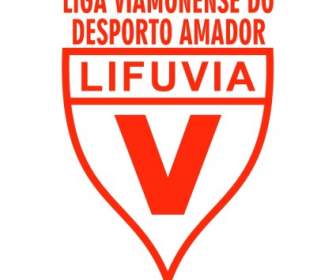 Liga Viamonense Melakukan Desporto Amador De Viamao Rs