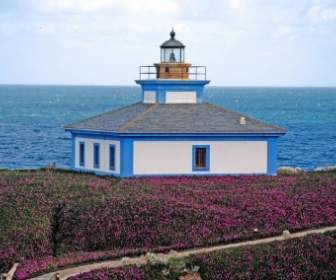 Lighthouse Island Sea