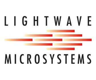 Lightwave 마이크로시스템즈