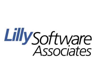 Lilly-Software-Partner