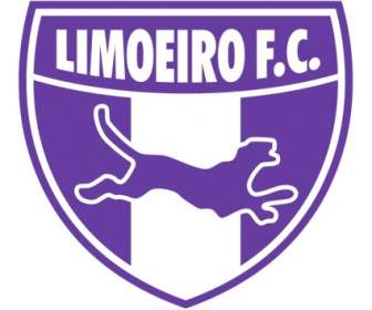 Limoeiro Futebol Clube Limoeiro Nortece