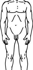 Line Drawing Of A Human Male Clip Art