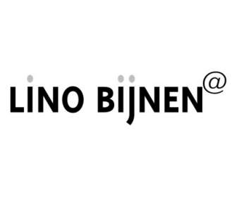 리노 Bijnen