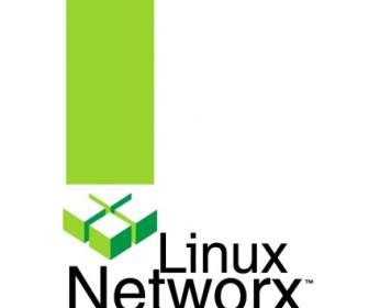 Networx لينكس