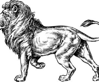 Lion Clip Art