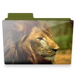 Lion Folder