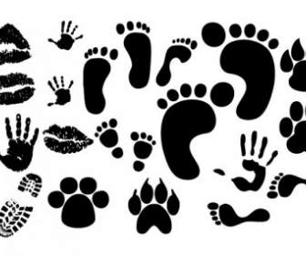 Lip Footprints Schuh Druckt Fingerabdruck-Vektor