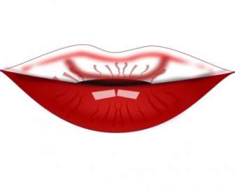 Bibir Oleh Netalloy