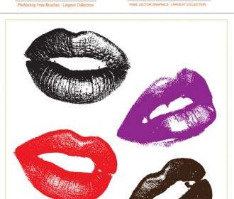 Lips Free Vector And Photoshop Brush