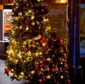 أضاءت شجرة عيد الميلاد
