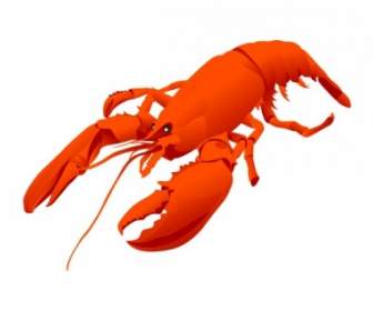 Lobster Vektor
