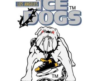 Lange Angeles Eis Hunde