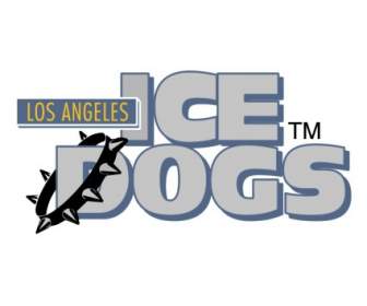 長いロサンゼルス氷犬
