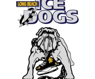 Cães De Gelo De Long Beach