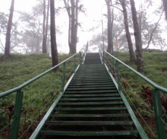 Long Escalier