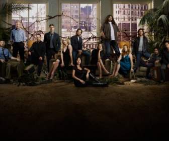 Lost Season Cast Wallpaper Lost Movies