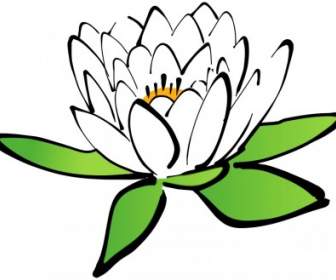 Fleur De Lotus
