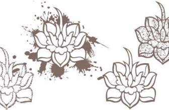 Lotus Blumen Vektor