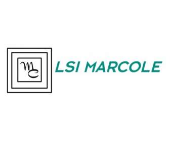 LSI Marcole