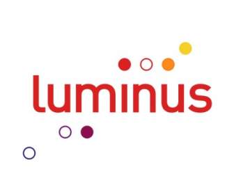 Luminus